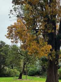 Admiring Colourful Flowers at Botanic Garden