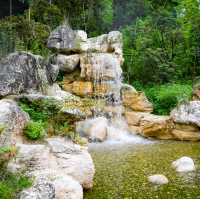 Panda Valley in Dujiangyan: A Charming Encounter with Nature's Gentle Giants