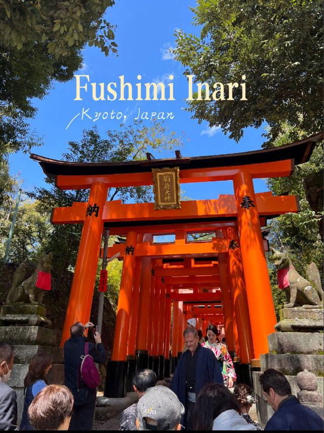 The Iconic Fushimi Inari Shrine in Kyoto ⛩️🦊🇯🇵