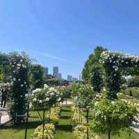 park has many shady areas, and quite breezy