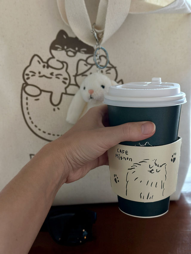 A Cute Cafe Find in Busan 🐱