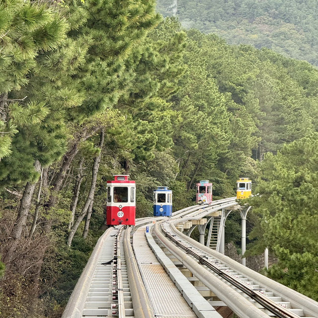 Discover Busan in a day! 