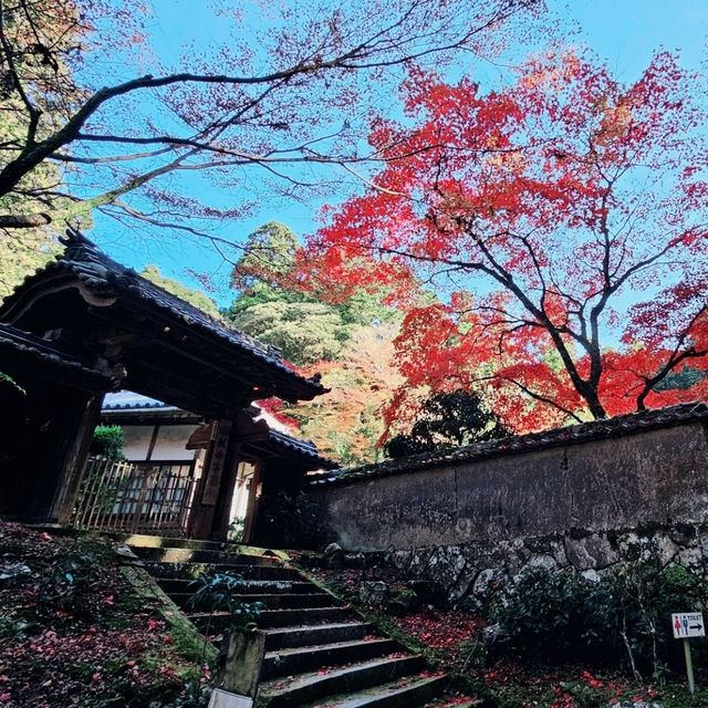 紅楓季書寫山處處美景〔圓教寺事務所〕