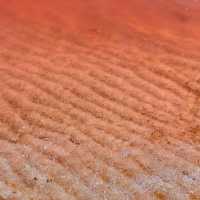 Pink Perfection: A Magical Encounter at Hutt Lagoon