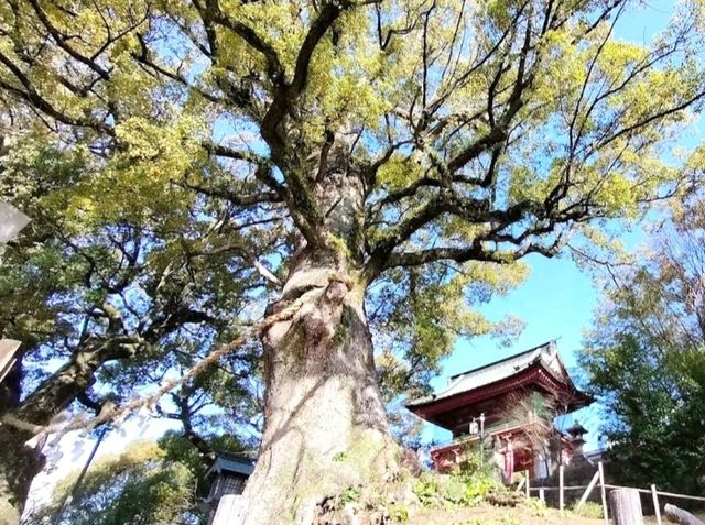 北岡神社