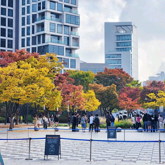 Seoul Forest Park