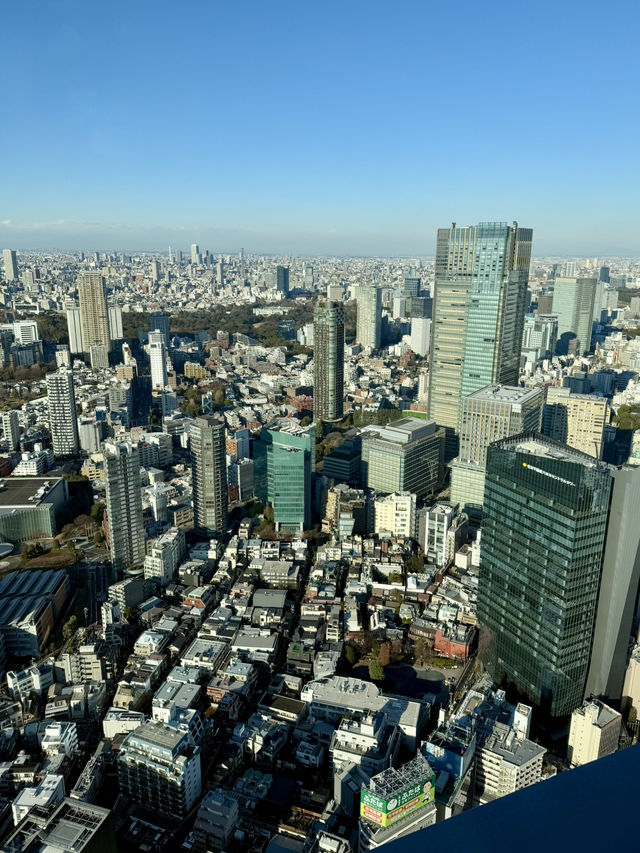 Mori Art Museum in Roppongi Hills🎨