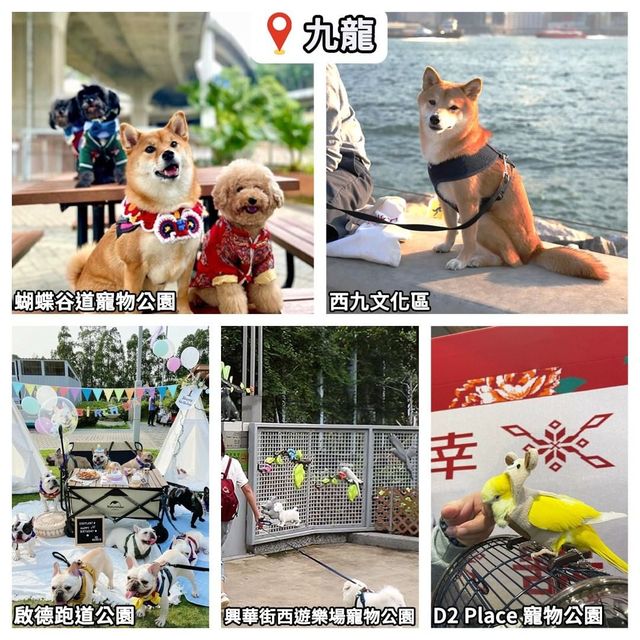 全港寵物公園推薦🐶寵物友善👍