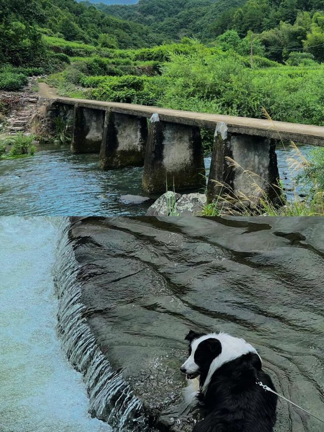 安山古道徒步 | 趕在消失前……。