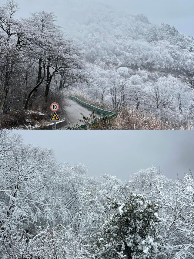 西安周邊賞雪 龍頭山全攻略。