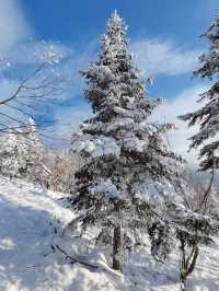 還在愁雪谷怎麼玩？看這篇就知道了