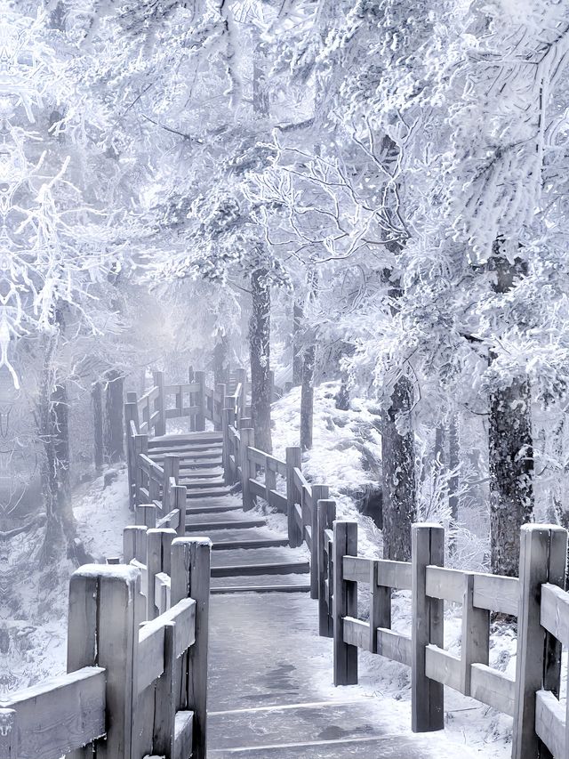 冬天第一場雪是在西嶺雪山看的，雪景太好拍了