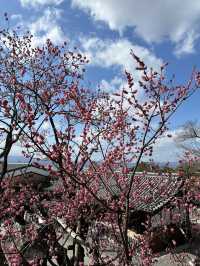 京都限定記憶-清水寺