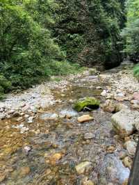 5日暢遊張家界-天門山-湘西 超實用攻略大揭秘