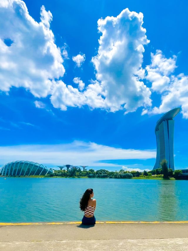 Singapore Flyer must visit in Singapore