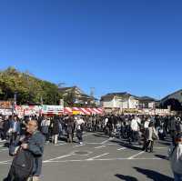 銀杏爆黃嘅八王子甲洲街銀杏大道