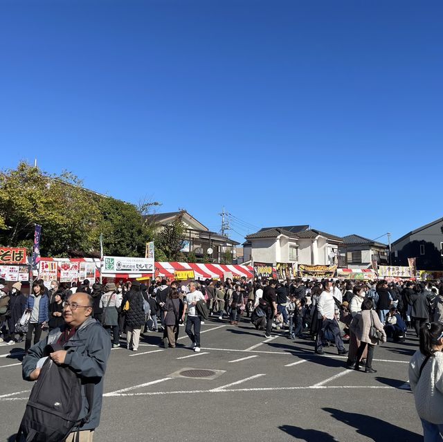 銀杏爆黃嘅八王子甲洲街銀杏大道