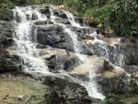 Doi Suthep Hiking Trail (Wat Pha Lat) 