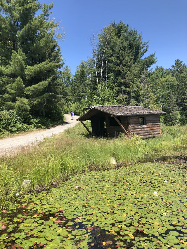 Beaver Pond in Lake Temagami, Ontario, Canada 🇨🇦