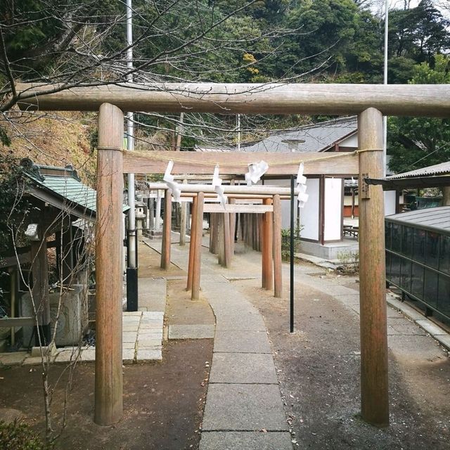 鎌倉 來宇賀福神社合法洗錢！ 