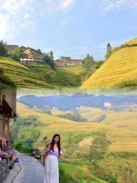 Golden Hues of Autumn: Exploring Longji Rice Terraces