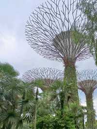 Discover Singapore Garden By The Bay 