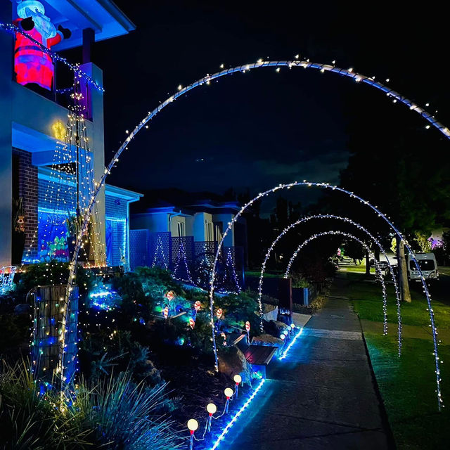 A Dazzling Christmas Wonderland in Botanic Ridge