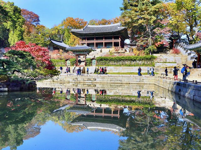 首爾昌德宮欣賞紅葉之旅🍁🍂