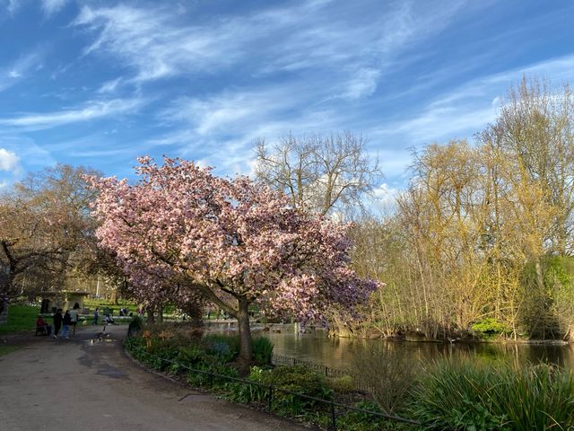 St. James's Park:A Tranquil Retreat in London