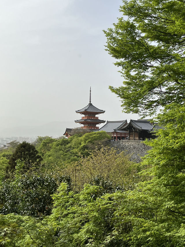 Kyoto｜ Kiyomizu-dera, the must visit temple in Koyto