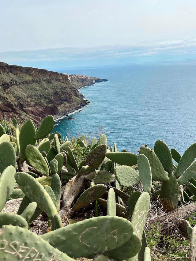 Wonderful hike to Cristo Rei 🗺️