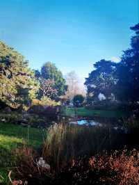 Discover the Winter Beauty of the Geneva Botanical Garden's Outdoor Oasis ❄️🌳