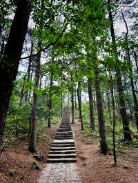 一言難盡的景區｜四明山森林公園