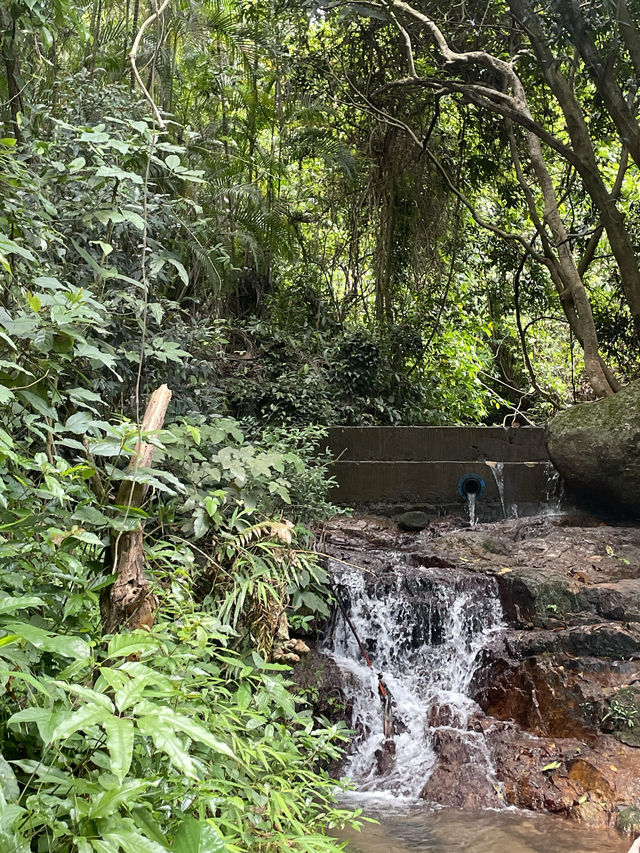 深圳龍華區陽台山森林公園| 踏進森林棧橋抵達深圳綠野秘境