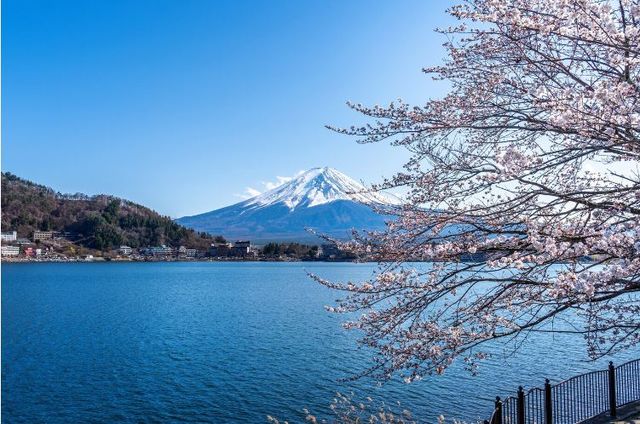 青森，日本的北境綺夢。