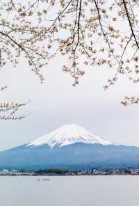 日本的小松，一個被嚴重低估的小眾旅行地！