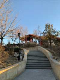 窯洼湖公園 西園