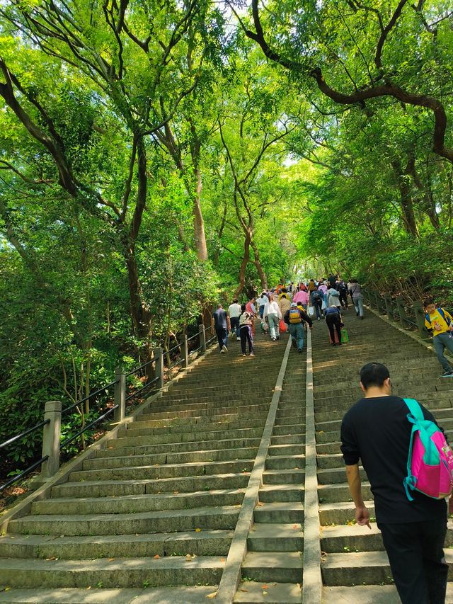 佘山國家森林公園