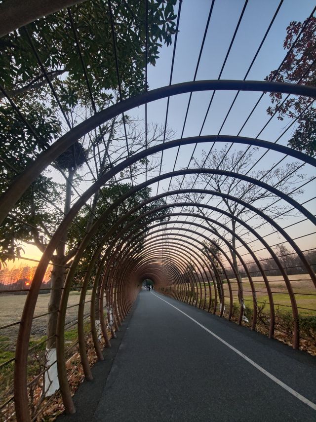 浙江杭州  良渚遺址公園