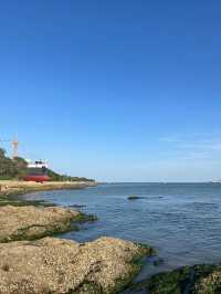 5日暢遊山東青島-威海-煙台 揭秘理想玩法速覽