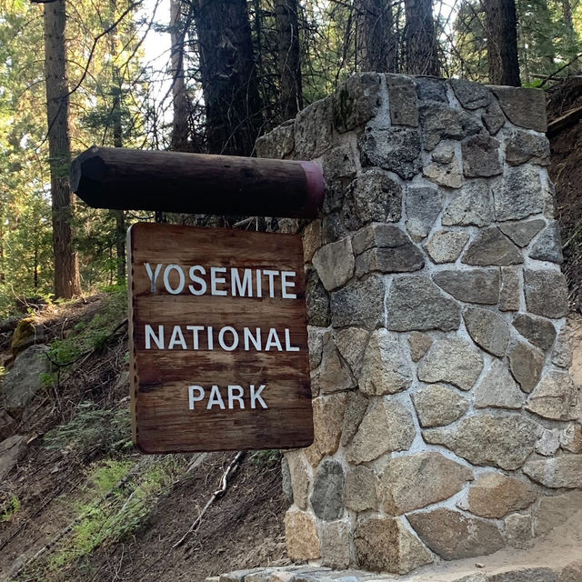 Nature’s Majestic Canvas Unfolds at Yosemite – Where Every Trail Leads to Wonder!