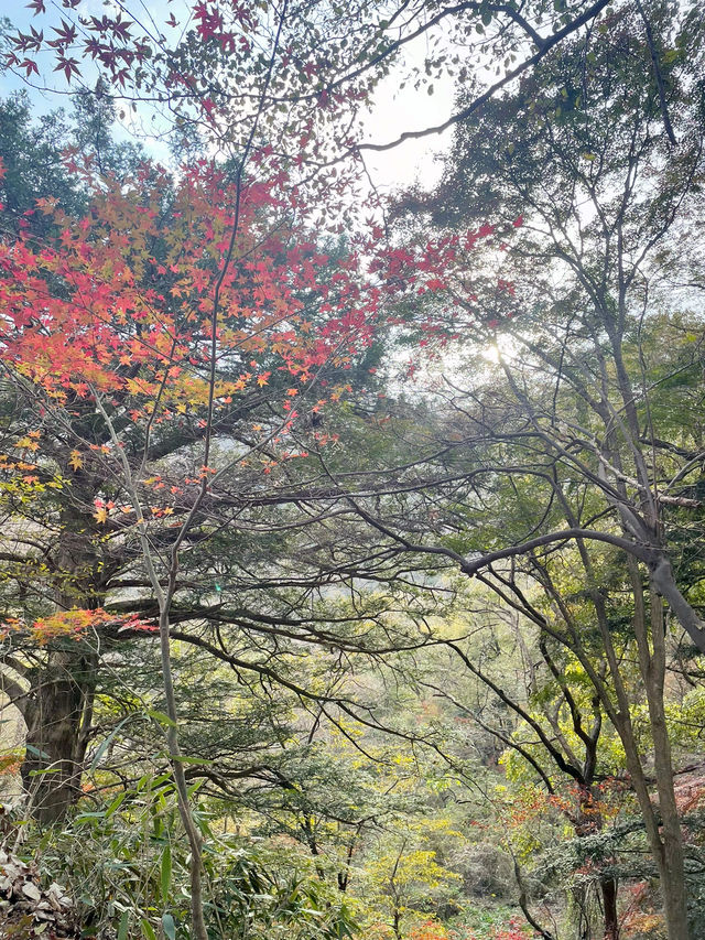 內藏山：韓國八大美景行山賞楓很減壓