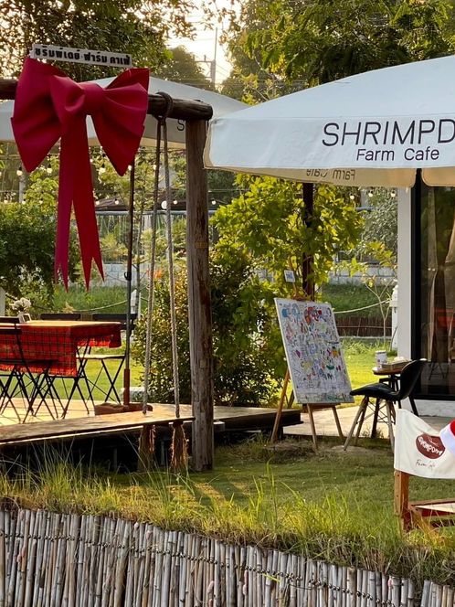 shrimpday farm cafe