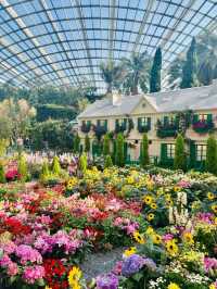 Gardens by the Bay: A Spectacular Urban Oasis