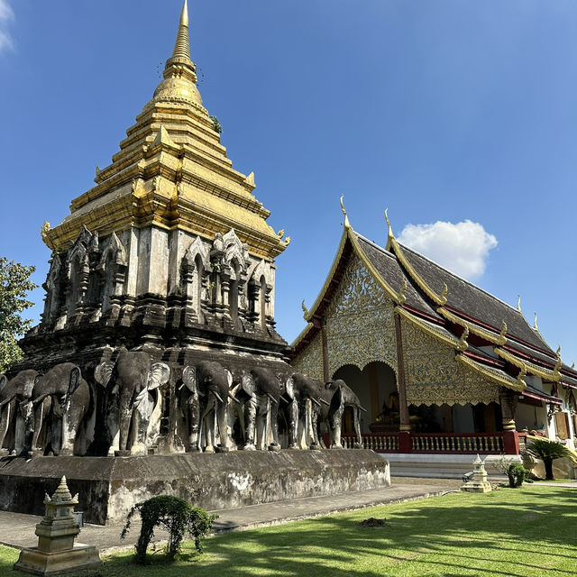 【チェンマイ】🇹🇭 ワット チェンマン วัดเชียงมั่น