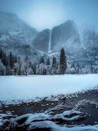 Yosemite National Park: A Snowy Christmas Wonderland