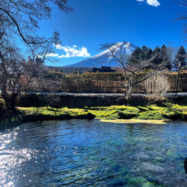 Serene Oasis at Oshino Hakkai!