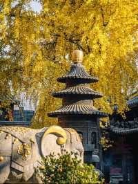 Mingjiao Temple (明教寺): A Historic Buddhist Sanctuary in Hefei