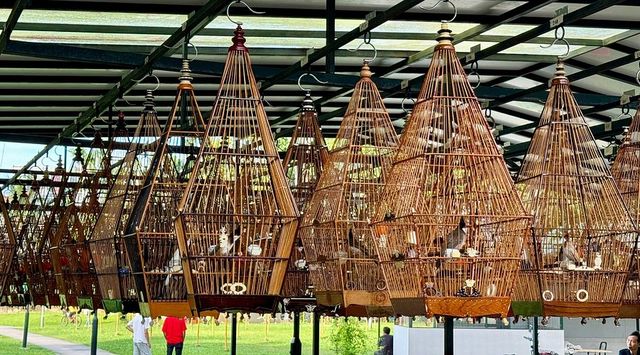 Birds telling your fortune in Singapore - Kebun Baru Birdsinging Club