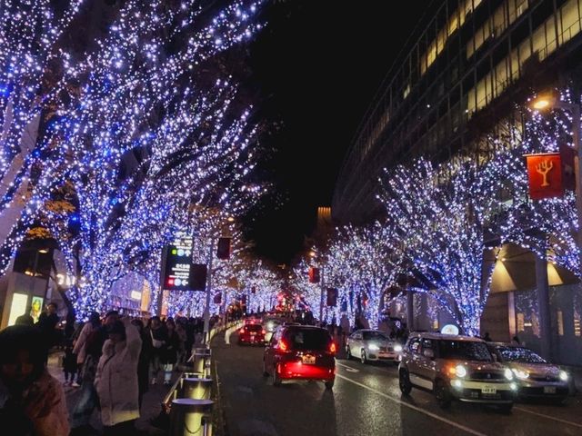 The magical illumination at Ropponggi Hills at Keyakizaka